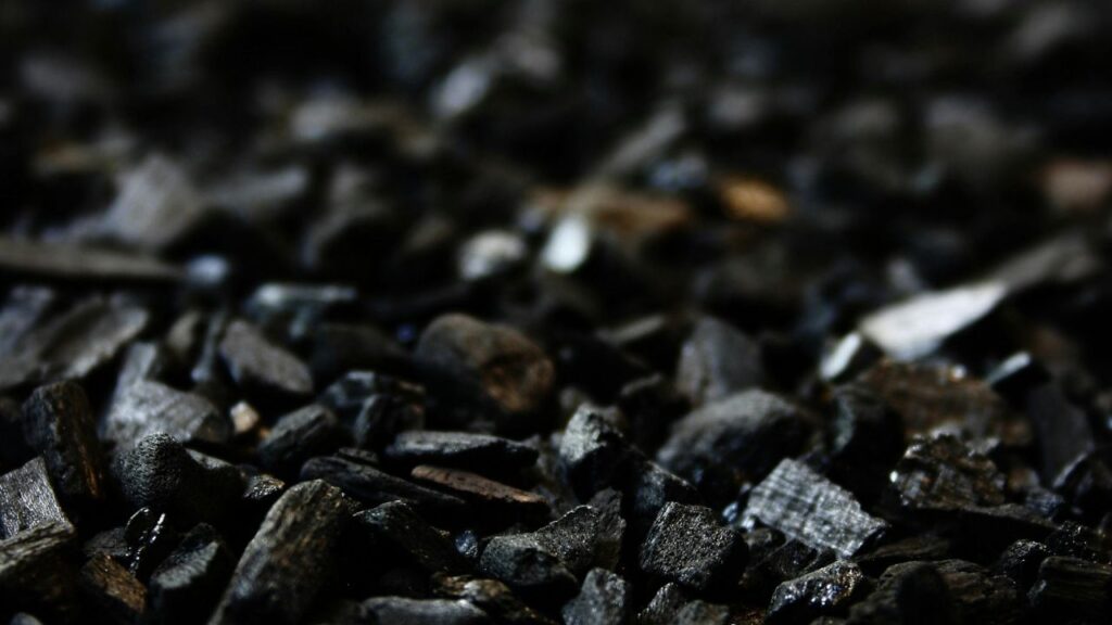 Coal Miners Day 2025 In Hindi