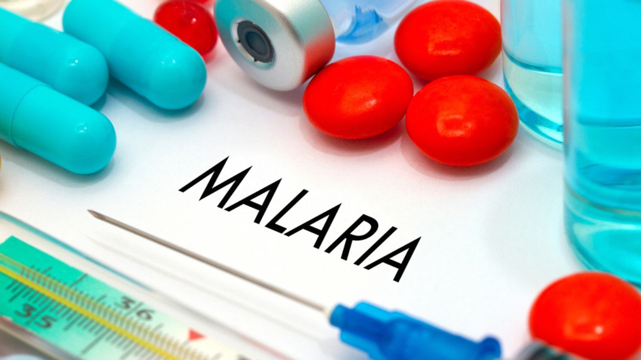 How Much Does It Really Cost To Treat Malaria In India In Hindi