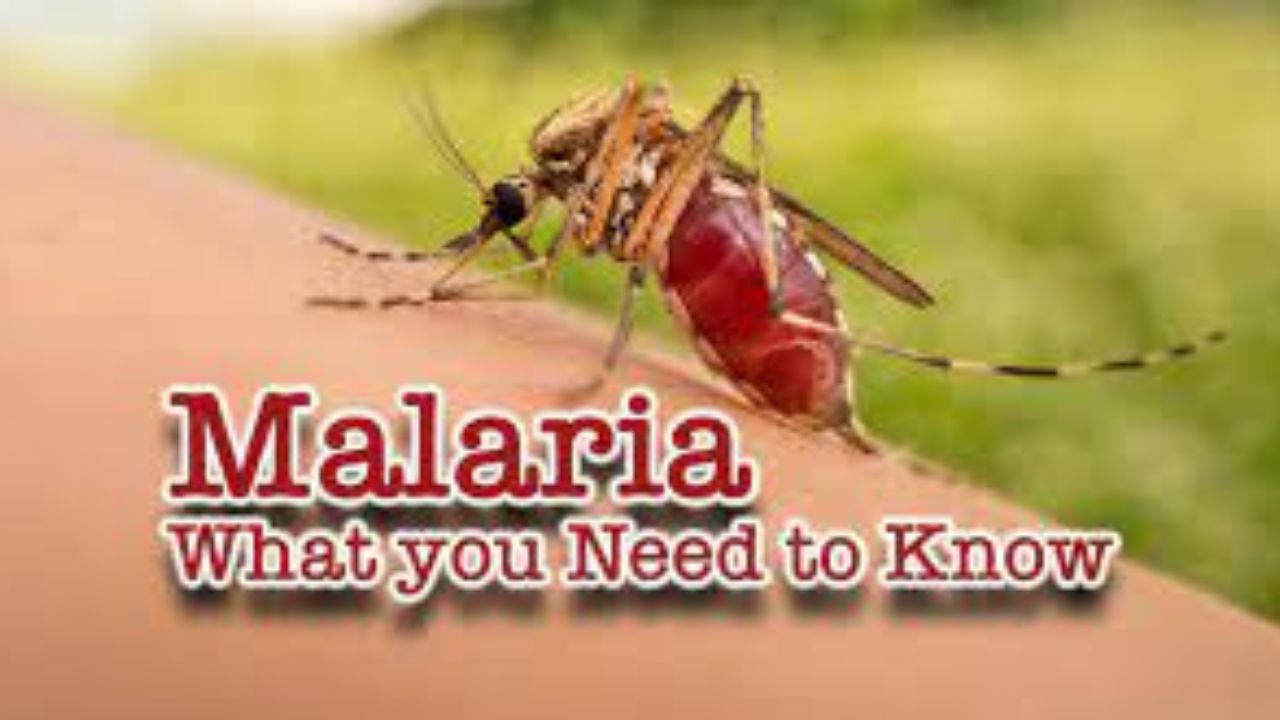 Warning Signs of Malaria